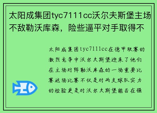 太阳成集团tyc7111cc沃尔夫斯堡主场不敌勒沃库森，险些逼平对手取得不败战绩 - 副本